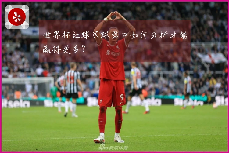 世界杯让球买球盘口如何分析才能赢得更多？