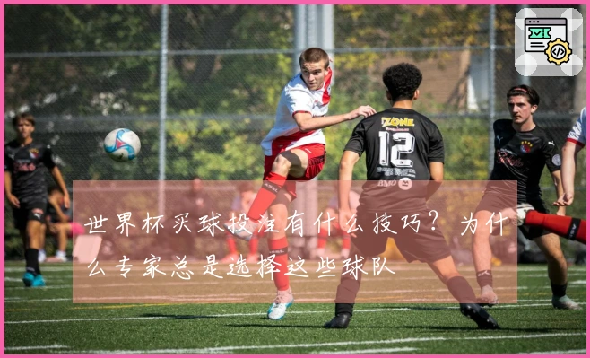 世界杯买球投注有什么技巧？为什么专家总是选择这些球队