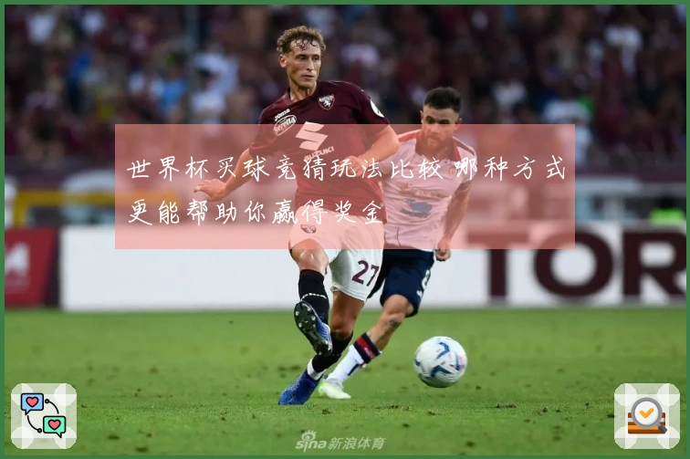 世界杯买球竞猜玩法比较 哪种方式更能帮助你赢得奖金