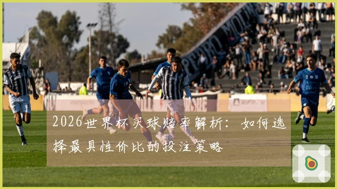 2026世界杯买球赔率解析：如何选择最具性价比的投注策略
