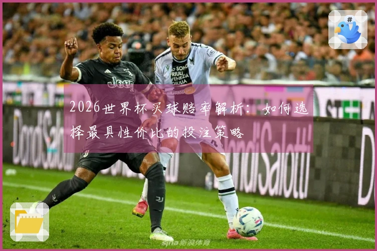 2026世界杯买球赔率解析：如何选择最具性价比的投注策略