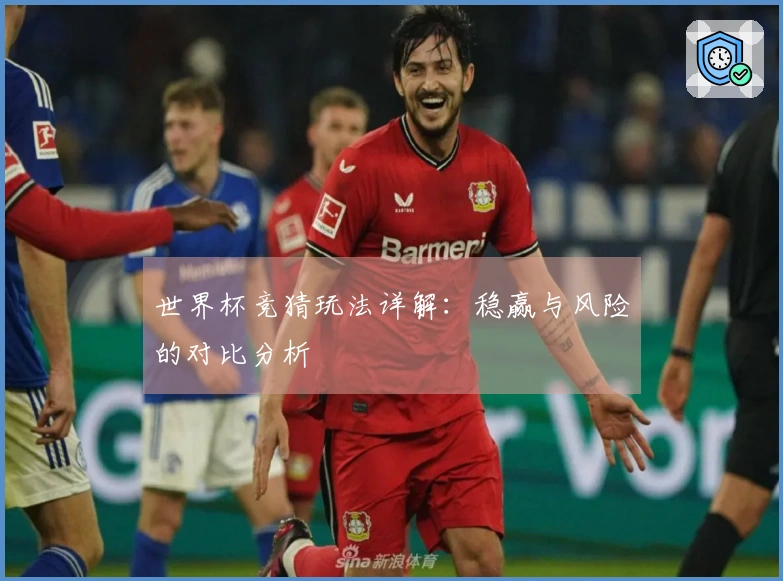世界杯竞猜玩法详解：稳赢与风险的对比分析