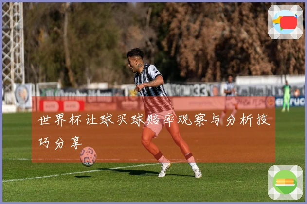 世界杯让球买球赔率观察与分析技巧分享