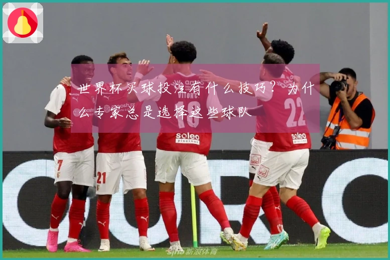 世界杯买球投注有什么技巧？为什么专家总是选择这些球队
