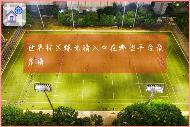 世界杯买球竞猜入口在哪些平台最靠谱
