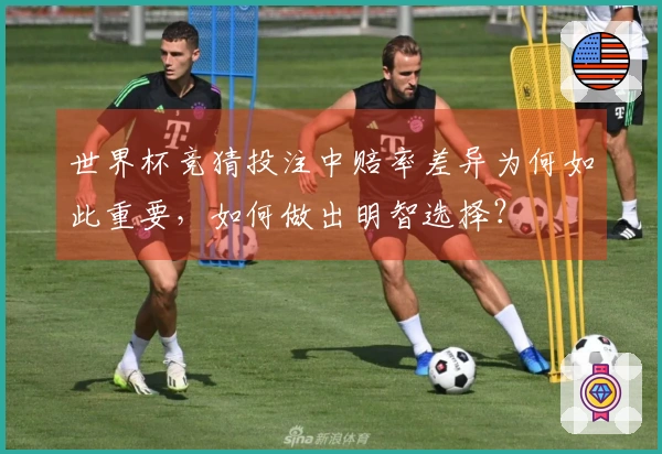 世界杯竞猜投注中赔率差异为何如此重要，如何做出明智选择？
